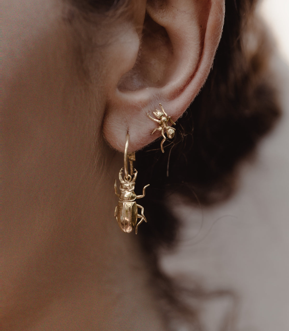 Little icons of nature collection by gold smith Carolinne B 