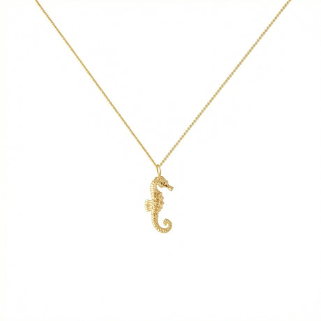 Seashell Earrings – ocean inspired necklace of a seahorse by Carolinne B