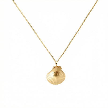 Seashell Necklace – ocean inspired necklace with seashell charm by Carolinne B 