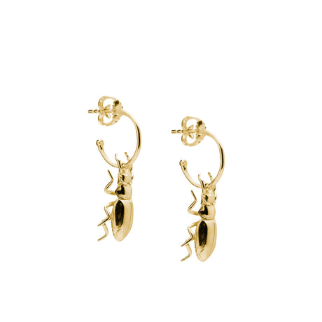 Close-up gold beetle hoop earring showing insect motif, Little Icons of Nature