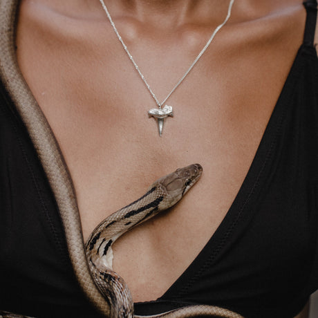 Shark Tooth Necklace – ocean themed necklace with shark tooth charm by Carolinne B