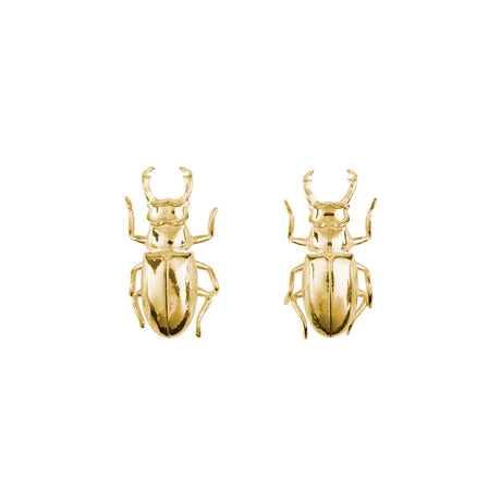 Beetle earrings, Little Icons of Nature collection by Carolinne B