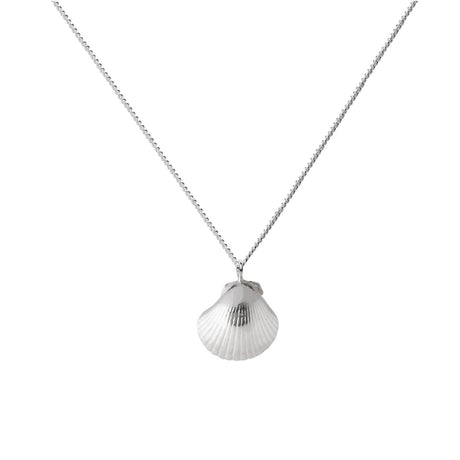 A silver necklace with a seashell pendant, on a white background.