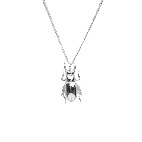Silver beetle necklace, Little Icons of Nature handmade jewelry by Carolinne B