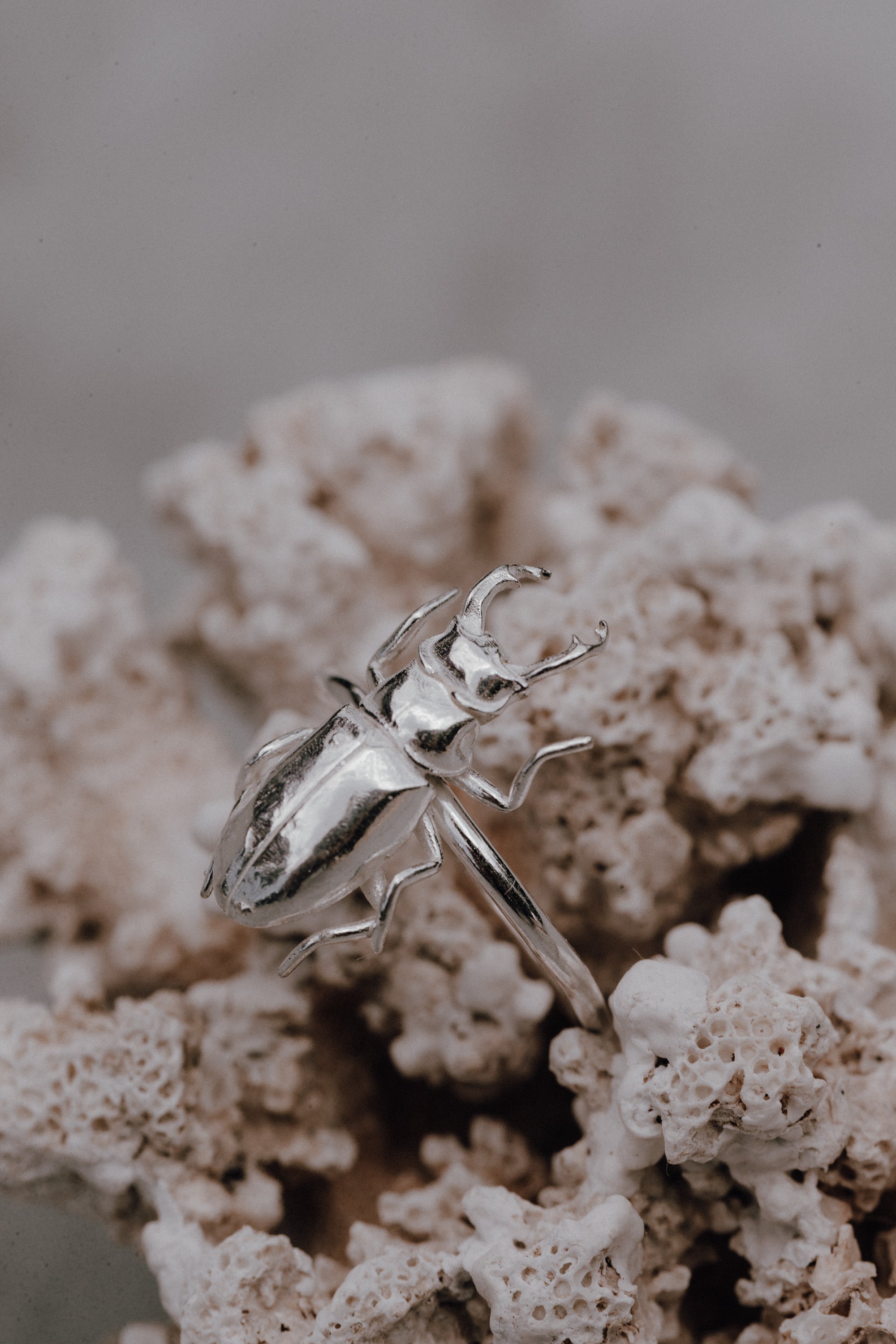 アクセサリー SUGARHILL BUG RING (SILVER) SUGARHILL BUG RING (SILVER) 【公式通販】